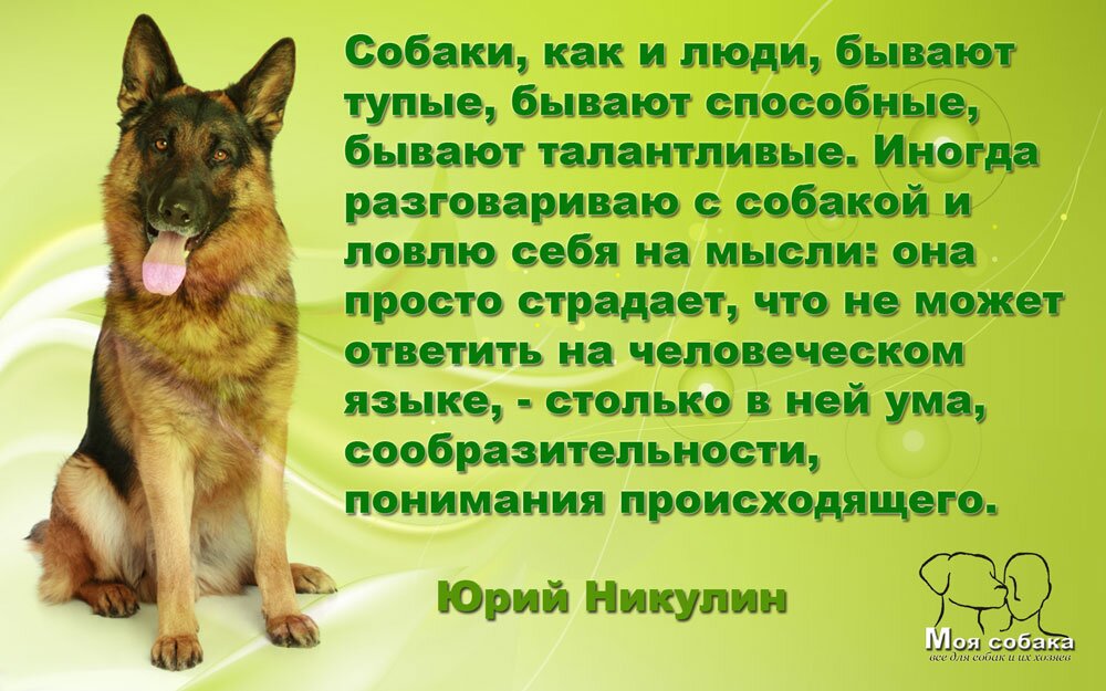 Фотостатус про собак. Юрий Никулин