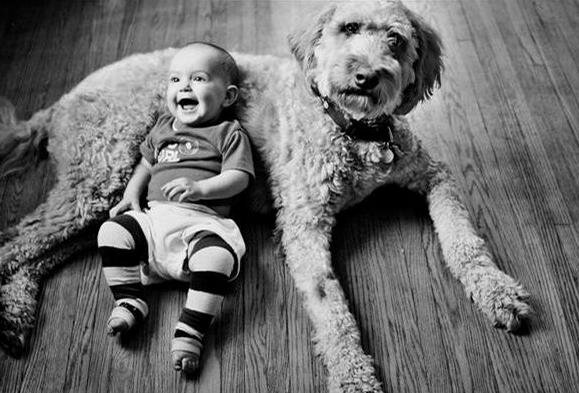 Ребенок и собака. Дети и собаки