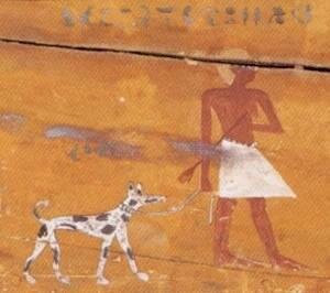 Самые древние породы собак