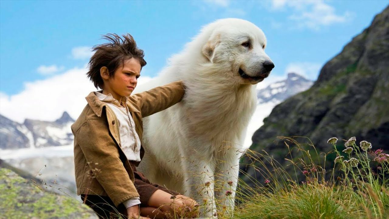 Фильм "Белль и Себастьян". Пиренейская горная собака.
